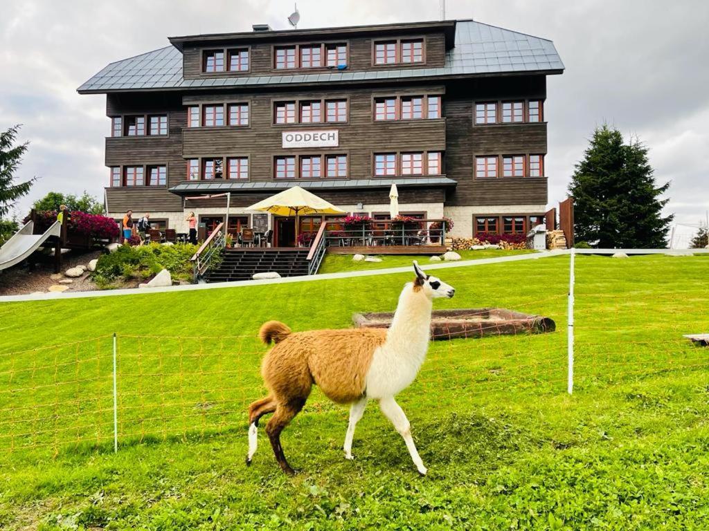 Hotel Oddech Pec pod Snezkou Luaran gambar