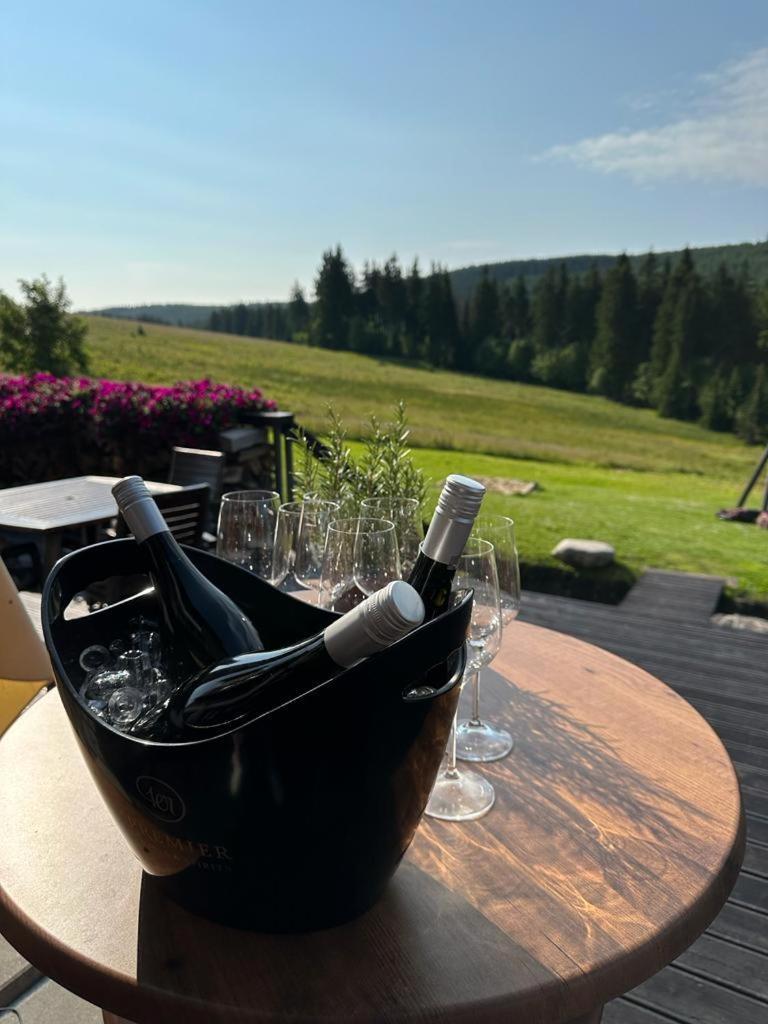 Hotel Oddech Pec pod Snezkou Luaran gambar